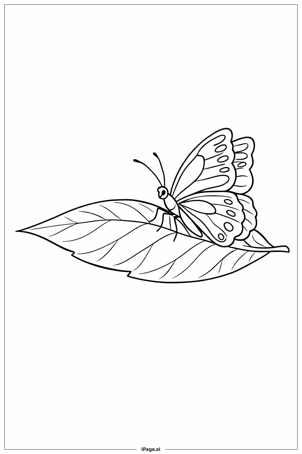 Butterfly on Leaf Coloring Page