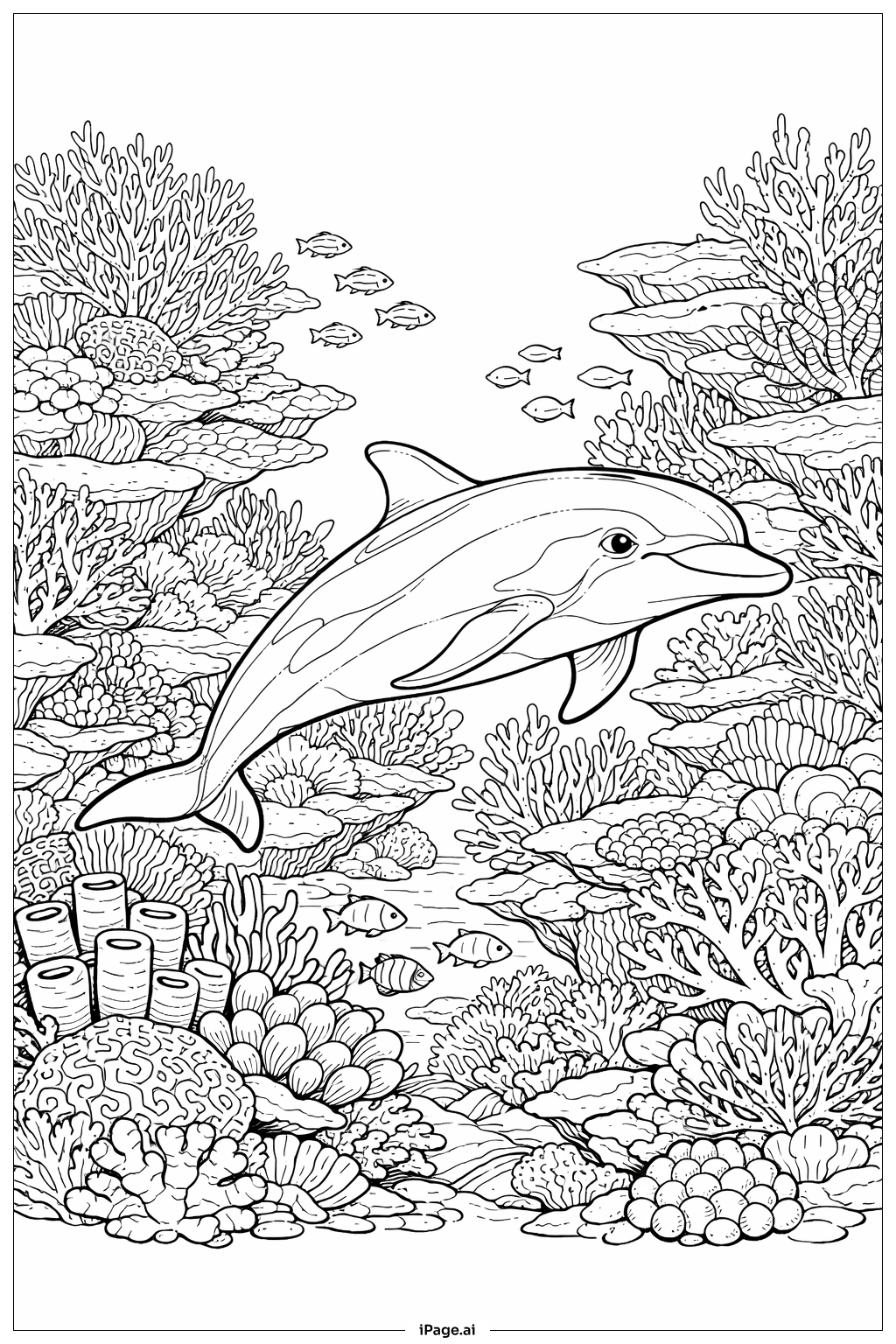  珊瑚礁海豚填色页 