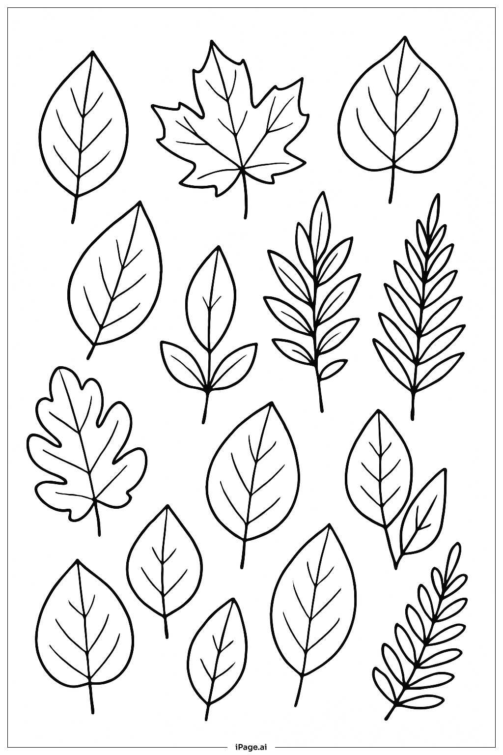 Photosynthesis Leaf Pattern Study Coloring Page (Free PDF&PNG Printable)