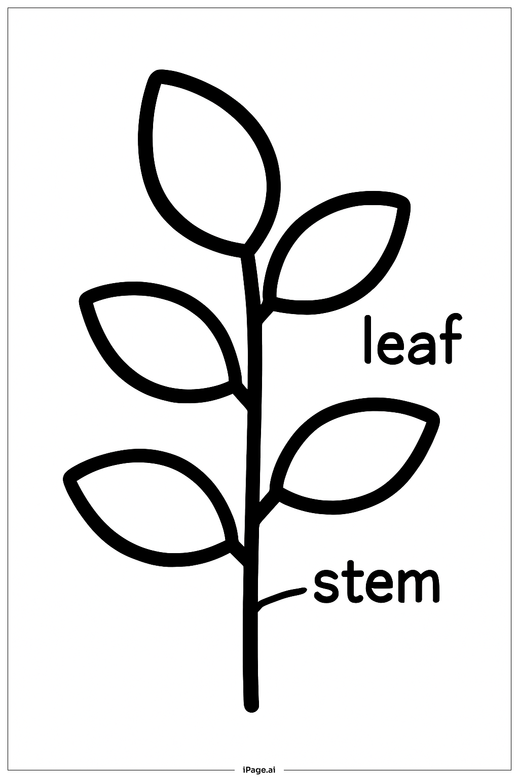  光合作用植物示意图填色页 