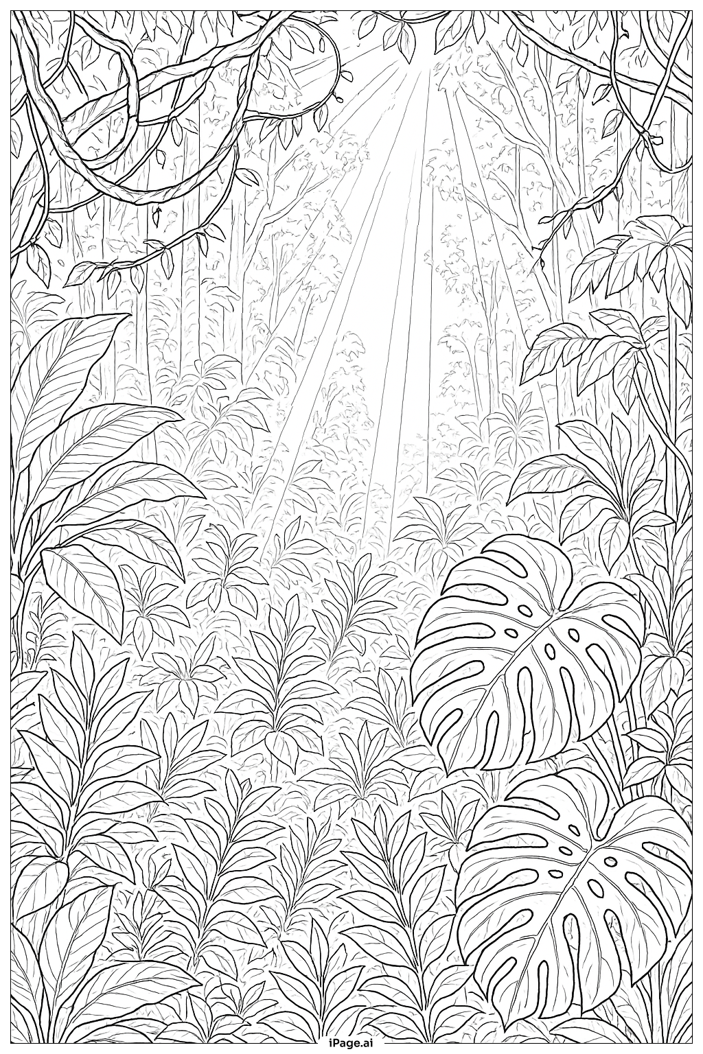  光合作用熱帶雨林下層著色頁 