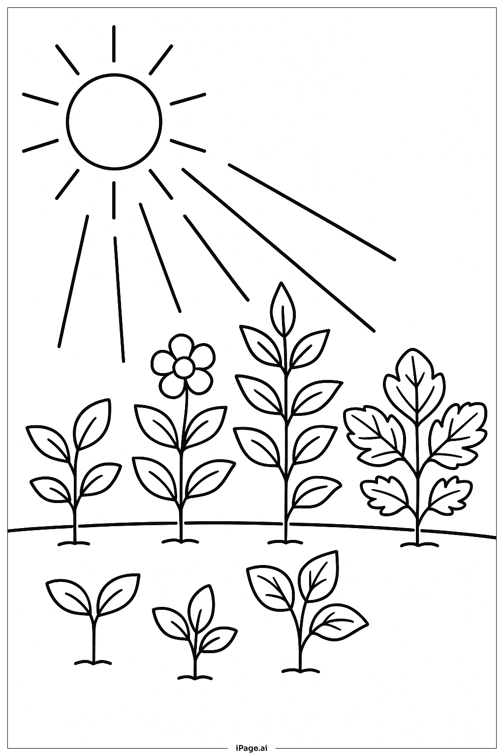  Página para colorear de Fotones del sol y plantas en la fotosíntesis 