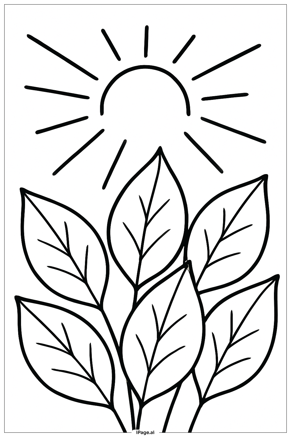  Página para colorear de Fotosíntesis Sol y Hojas 
